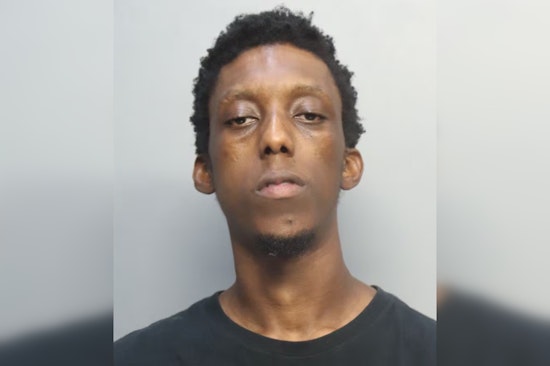North Miami Man Charged with Attempted Kidnapping of Young Girl, Previous Molestation Accusations Resurface