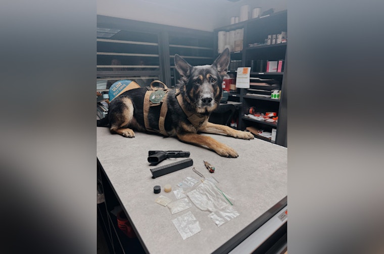 North San Juan Man Arrested for Narcotics Possession and Firearms Charges Following Traffic Stop
