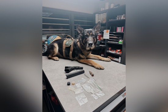 North San Juan Man Arrested for Narcotics Possession and Firearms Charges Following Traffic Stop