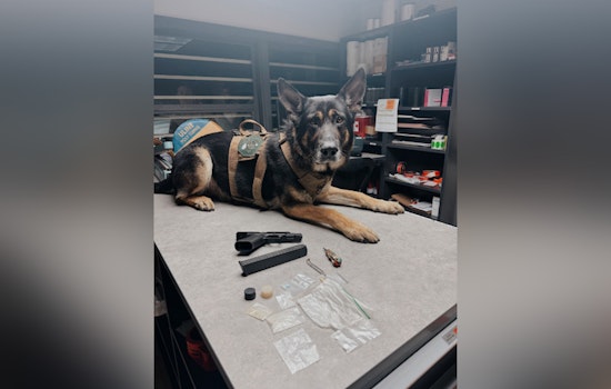 North San Juan Man Arrested for Narcotics Possession and Firearms Charges Following Traffic Stop