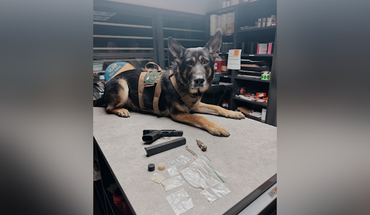 North San Juan Man Arrested for Narcotics Possession and Firearms Charges Following Traffic Stop