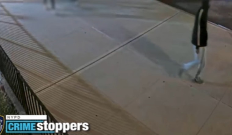 NYPD Seeks Assistance to Identify Suspect in Bronx Assault Case