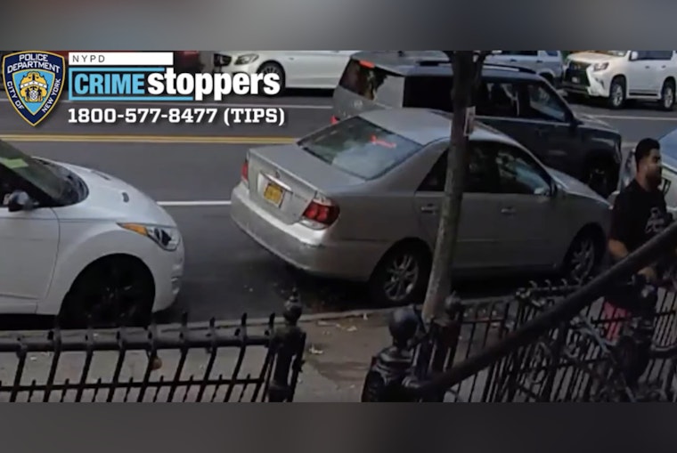NYPD Seeks Public's Help in Identifying Suspect in Brooklyn Chain Snatching Incident