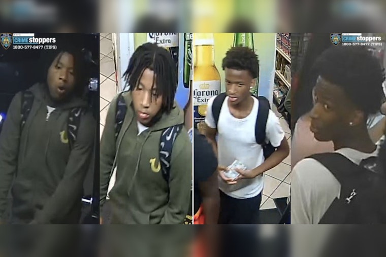 NYPD Seeks Public's Help to Find Suspects in Bronx Armed Robbery
