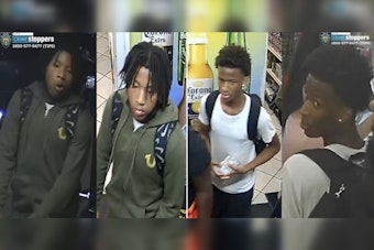 NYPD Seeks Public's Help to Find Suspects in Bronx Armed Robbery