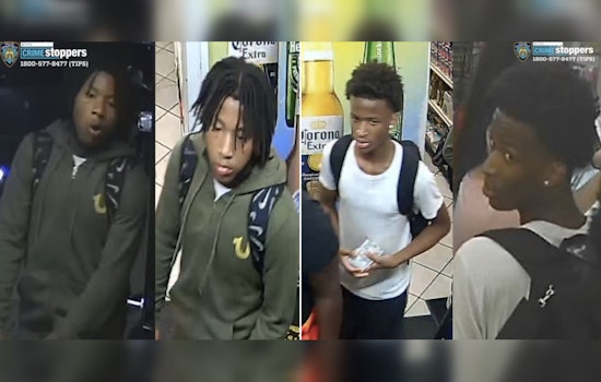 NYPD Seeks Public's Help to Find Suspects in Bronx Armed Robbery