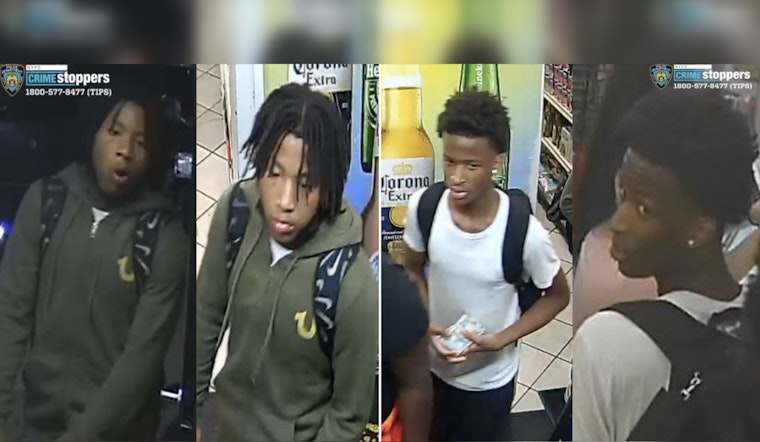 NYPD Seeks Public's Help to Find Suspects in Bronx Armed Robbery