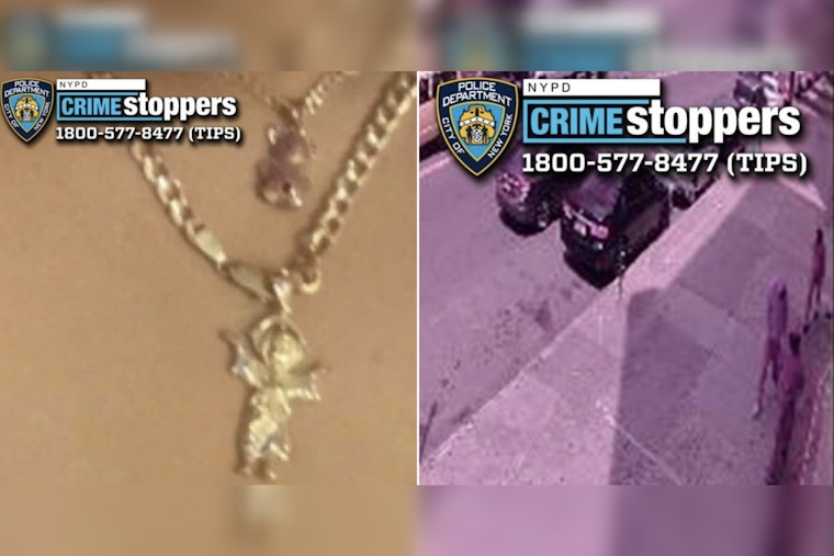 NYPD Seeks Public's Help to Identify Suspects in Daylight Armed Robbery in the Bronx