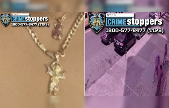 NYPD Seeks Public's Help to Identify Suspects in Daylight Armed Robbery in the Bronx