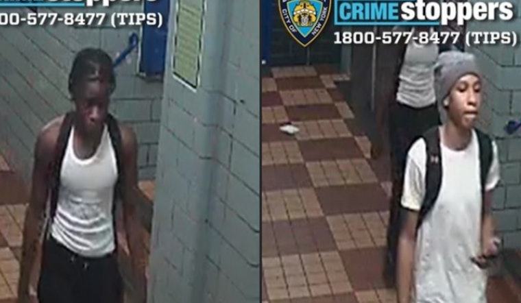 NYPD Seeks Public's Help to Locate Suspects in Bronx Shooting That Injured Teen