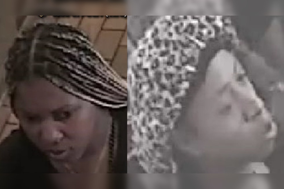 NYPD Seeks Two Suspects Accused of Robbery and Assault in Bronx Store