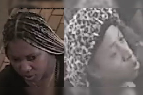 NYPD Seeks Two Suspects Accused of Robbery and Assault in Bronx Store