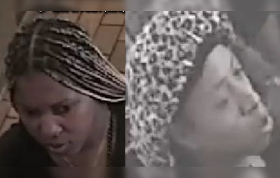 NYPD Seeks Two Suspects Accused of Robbery and Assault in Bronx Store