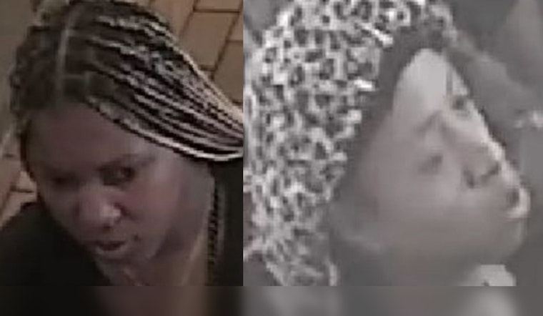 NYPD Seeks Two Suspects Accused of Robbery and Assault in Bronx Store