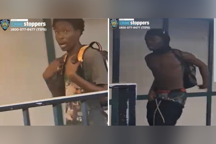NYPD Seeks Two Suspects in Cell Phone Robbery on Bronx-Bound 6 Train