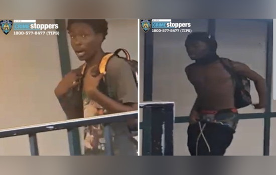 NYPD Seeks Two Suspects in Cell Phone Robbery on Bronx-Bound 6 Train