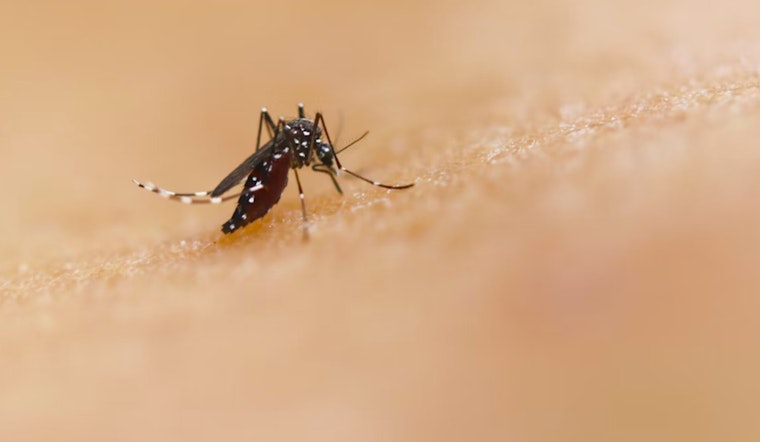 Oʻahu Reports Eleventh Travel-Related Dengue Case of 2025 as Hawai‘i DOH Intensifies Mosquito Control Efforts
