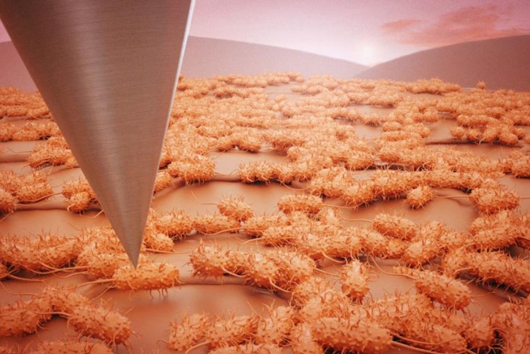 Oak Ridge National Laboratory Enhances Microbial Research with Advanced AFM Technology and Machine Learning