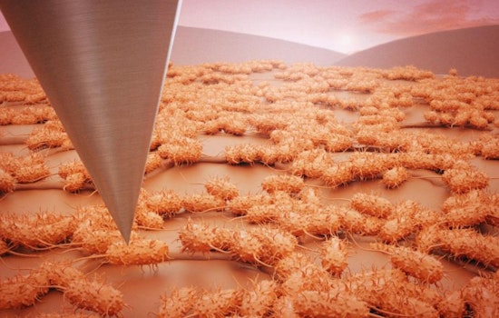 Oak Ridge National Laboratory Enhances Microbial Research with Advanced AFM Technology and Machine Learning