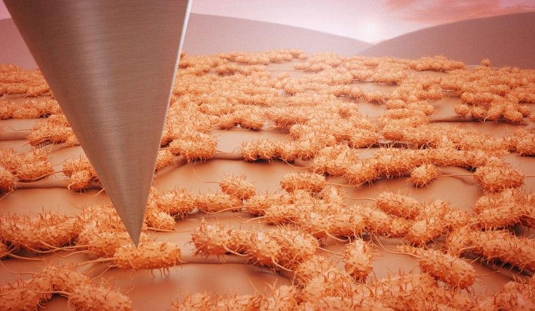 Oak Ridge National Laboratory Enhances Microbial Research with Advanced AFM Technology and Machine Learning
