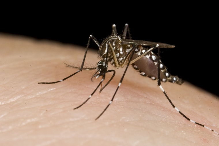 Oakland County Reports First Human West Nile Virus Infection of 2025, Health Officials Urge Protective Measures