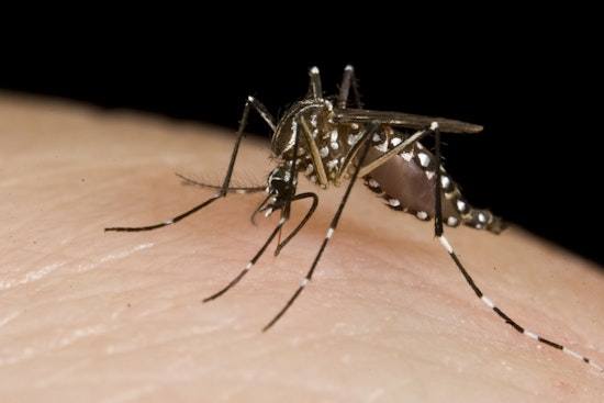 Oakland County Reports First Human West Nile Virus Infection of 2025, Health Officials Urge Protective Measures