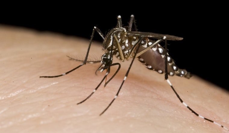 Oakland County Reports First Human West Nile Virus Infection of 2025, Health Officials Urge Protective Measures