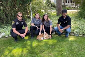 Oakland County Search & Rescue Team Swiftly Saves Fawn from Perilous Plight in Orion Township Lake