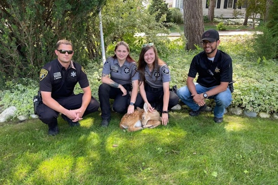 Oakland County Search & Rescue Team Swiftly Saves Fawn from Perilous Plight in Orion Township Lake