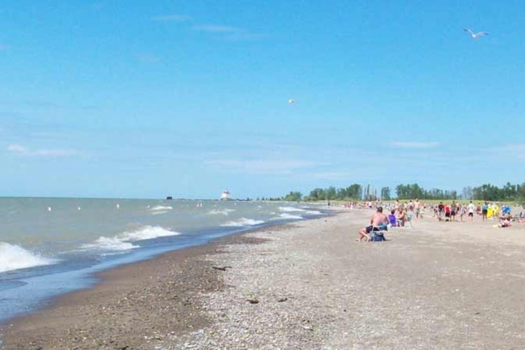Ohio Celebrates Avian Wonders with Annual Headlands Birding Festival at Headlands Beach State Park