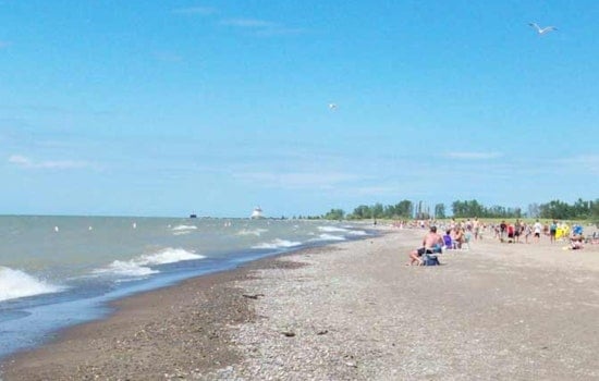Ohio Celebrates Avian Wonders with Annual Headlands Birding Festival at Headlands Beach State Park