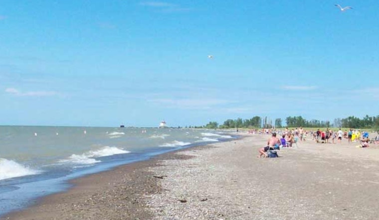 Ohio Celebrates Avian Wonders with Annual Headlands Birding Festival at Headlands Beach State Park
