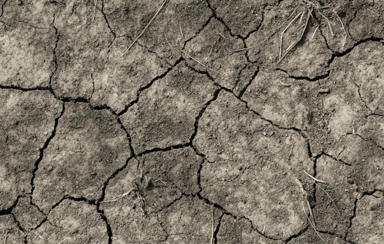 Oregon Governor Declares State of Emergency in Douglas, Morrow, and Union Counties Amid Severe Drought Conditions