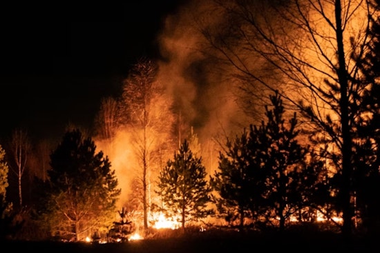 Oregon Grapples with Declining Air Quality as Wildfires Rage, Portland and Willamette Valley Hit Hardest