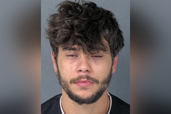 Pasco County Man Charged with DUI, Reckless Driving After Weeki Wachee Crash That Kills Dog