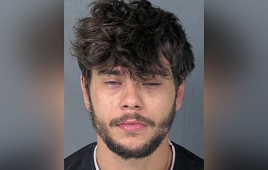 Pasco County Man Charged with DUI, Reckless Driving After Weeki Wachee Crash That Kills Dog