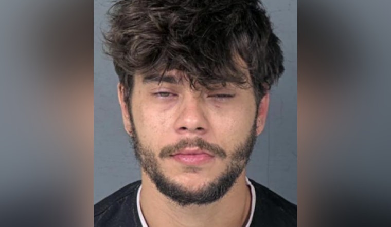 Pasco County Man Charged with DUI, Reckless Driving After Weeki Wachee Crash That Kills Dog