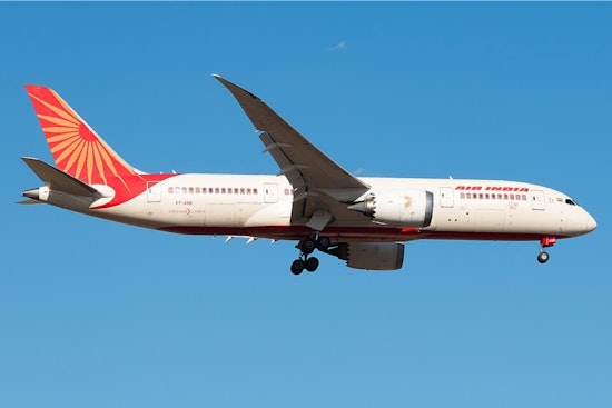 Passengers Encounter Cockroach Issue on Air India Flight from San Francisco to Mumbai, Airline Apologizes and Ensures Strict Hygiene Measures