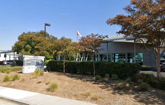 Pedestrian Fatality in Late-Night Morgan Hill Collision, Police Urge Witnesses to Come Forward