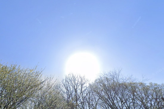 Philadelphia Braces for Foggy Mornings and Stormy Afternoons Amid Sultry Weather