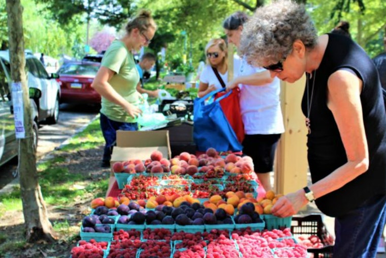 Philadelphia Farmers' Markets Bolster Food Security and Support Local Agriculture Amidst Food Insecurity Crisis
