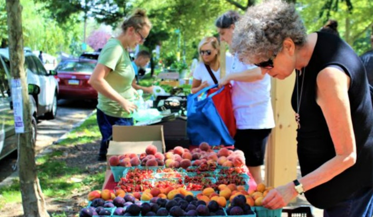 Philadelphia Farmers' Markets Bolster Food Security and Support Local Agriculture Amidst Food Insecurity Crisis