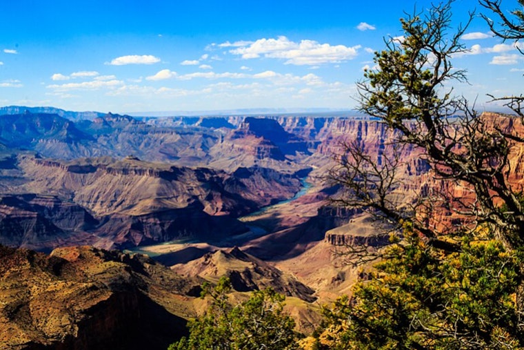 Phoenix Nonprofit Ability360 Empowers Diverse Group in Grand Canyon Whitewater Rafting Triumph