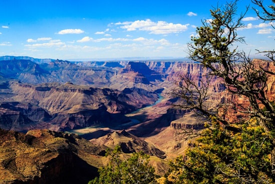 Phoenix Nonprofit Ability360 Empowers Diverse Group in Grand Canyon Whitewater Rafting Triumph