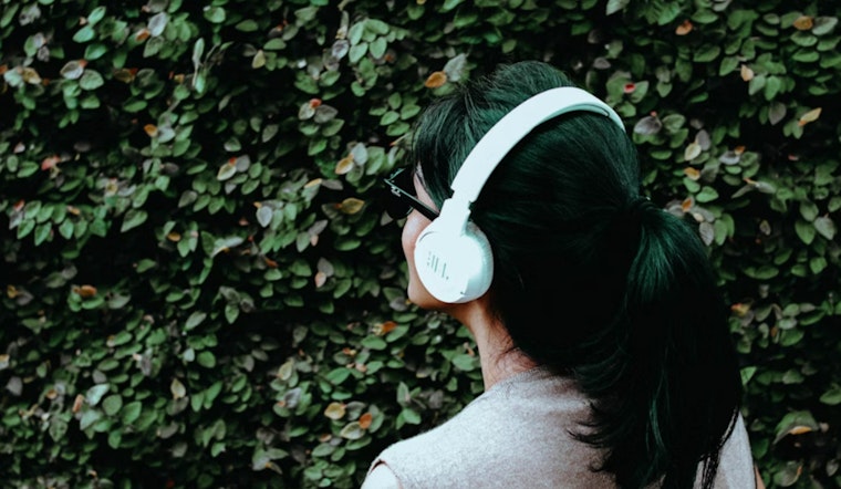 Phoenix Therapist Harmonizes Music with Mental Health Care for Innovative Treatment Approaches