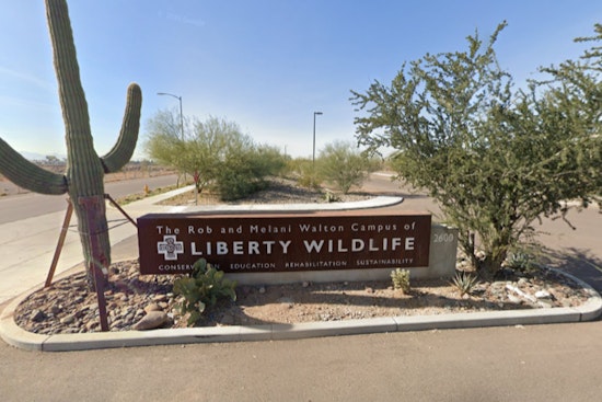 Phoenix Wildlife Center Liberty Wildlife Battles Record Heat to Save Overheated and Human-Impacted Animals
