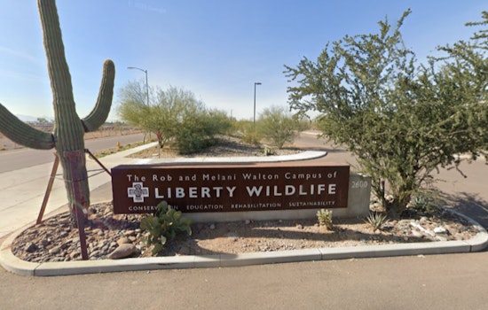 Phoenix Wildlife Center Liberty Wildlife Battles Record Heat to Save Overheated and Human-Impacted Animals