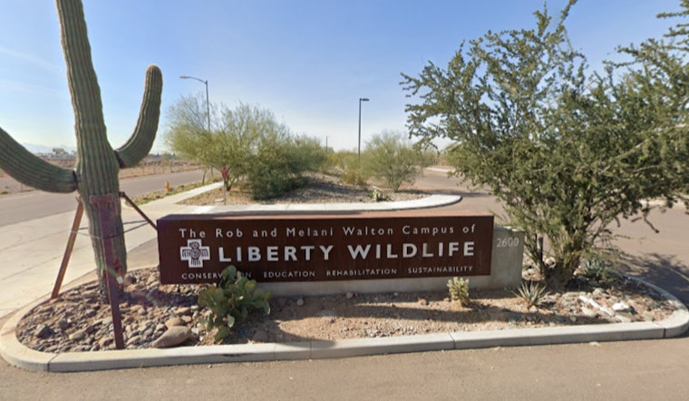 Phoenix Wildlife Center Liberty Wildlife Battles Record Heat to Save Overheated and Human-Impacted Animals