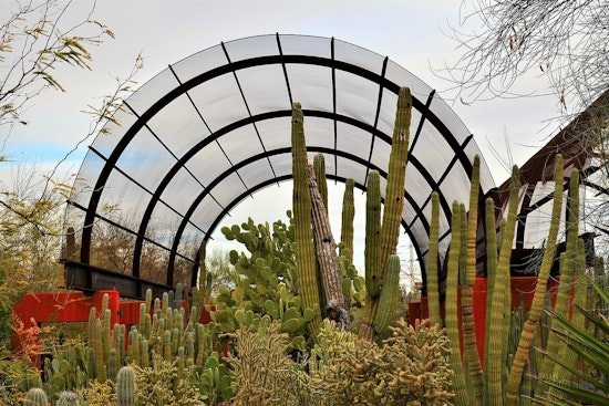 Phoenix's Desert Botanical Garden to Blossom with Celebrity Chef Mark Tarbell's Culinary Revival