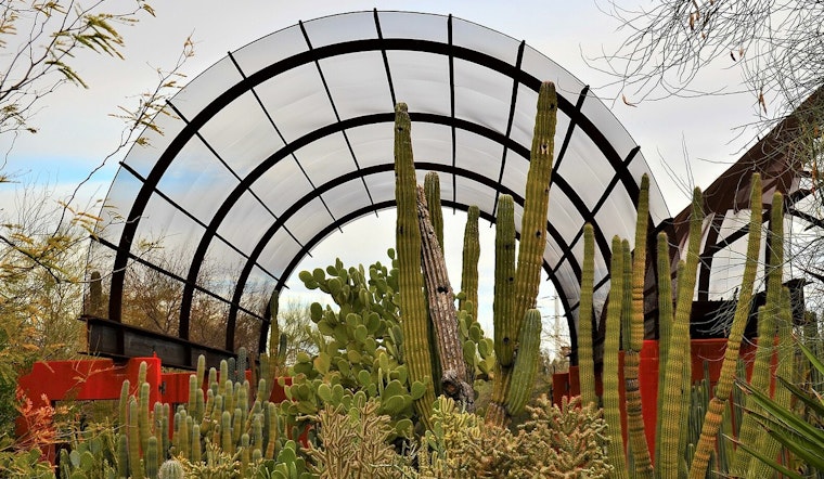 Phoenix's Desert Botanical Garden to Blossom with Celebrity Chef Mark Tarbell's Culinary Revival